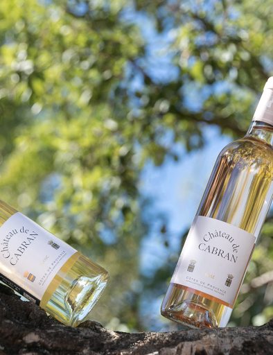 Vins Chateau de Cabran