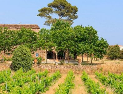 Wines Chateau-de-cabran