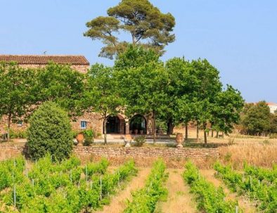 Vins Chateau de Cabran