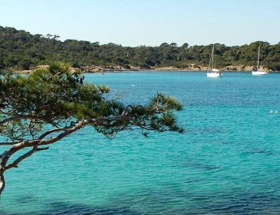 Iles de Porquerolles