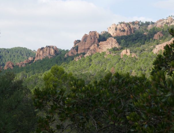 PUGET-SUR-ARGENS NATURA 2000